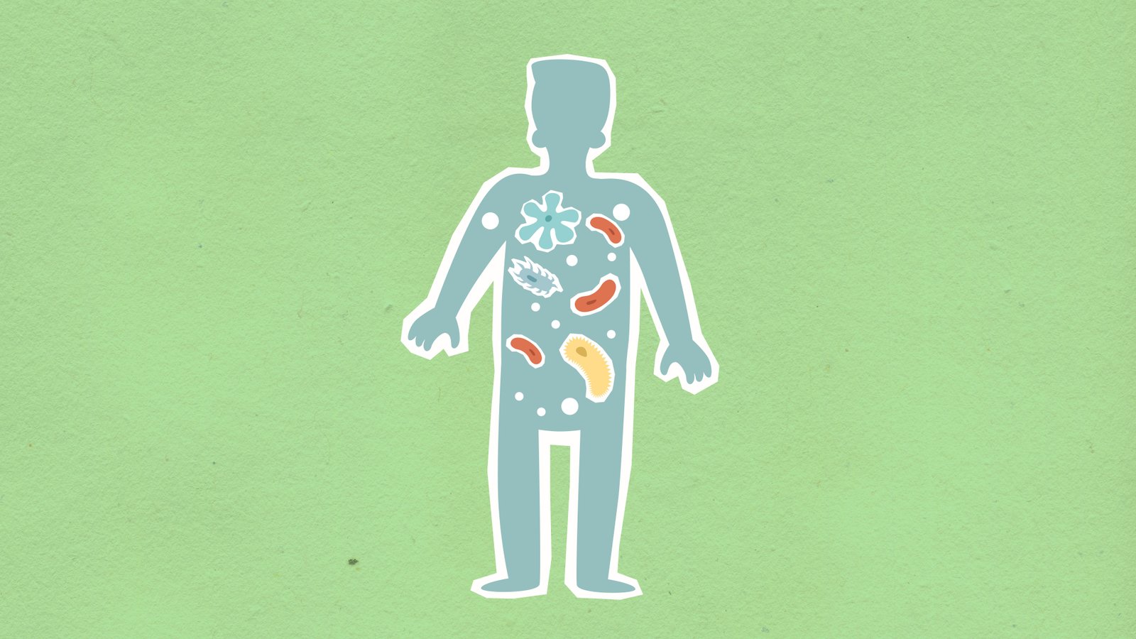Microbiome Balance