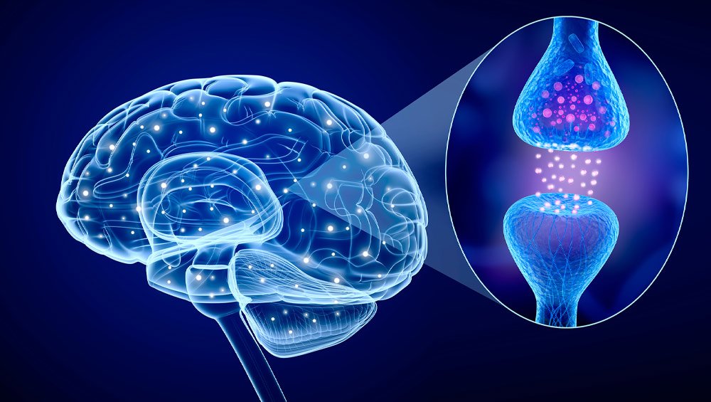 Neurotransmitter-Detection