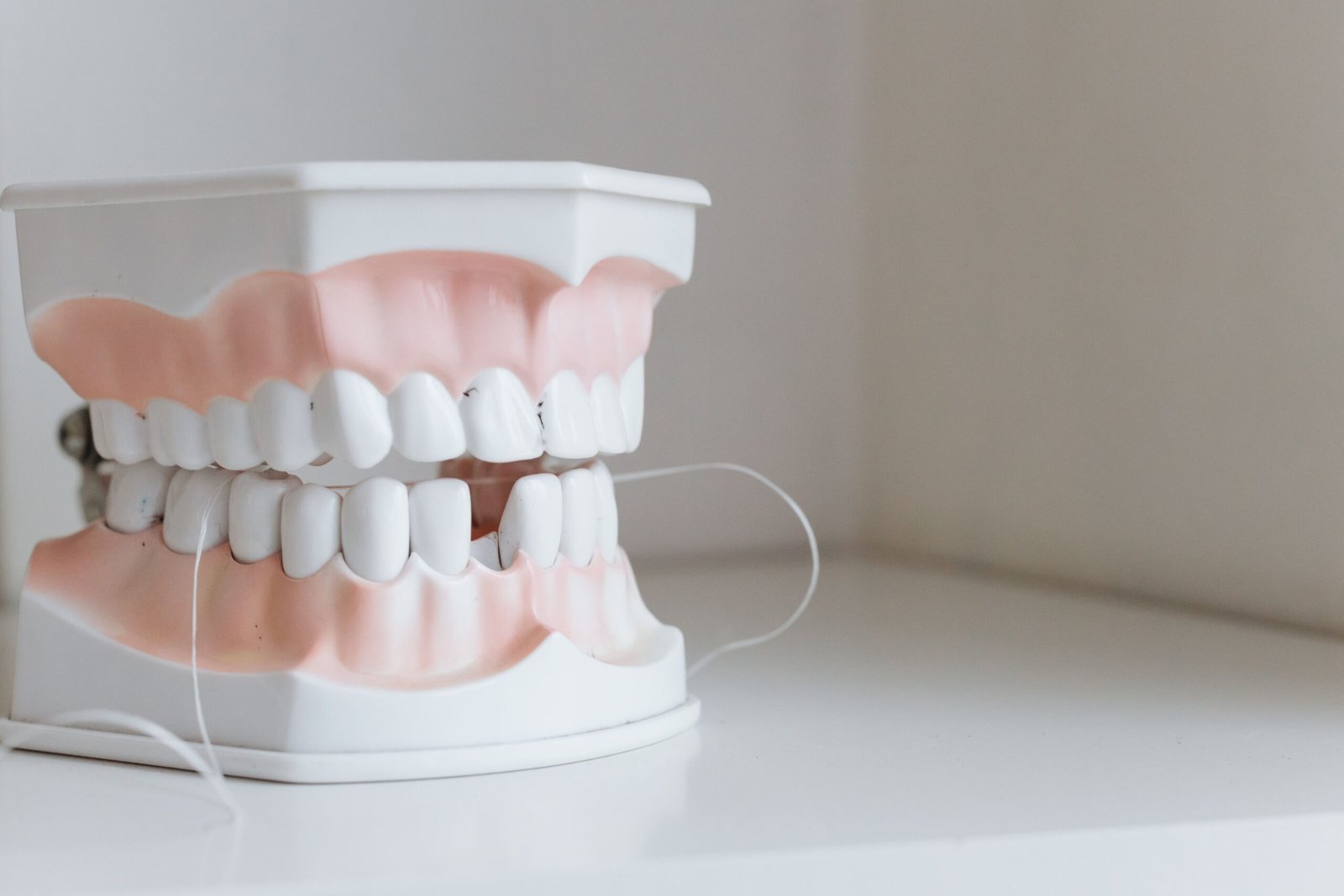 Teeth and Gums