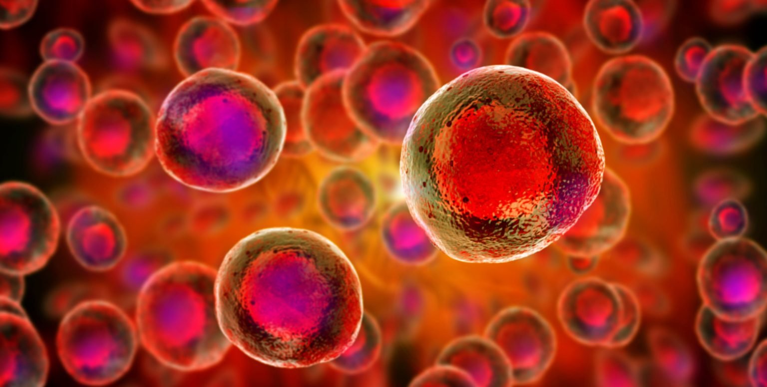 cellular healths