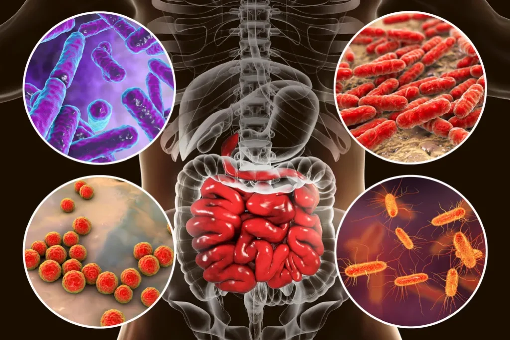 gut-flora